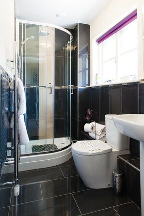 A modern bathroom with a glass-enclosed shower, a white toilet, and a sink. - Maes Bach (Aberystwyth)
