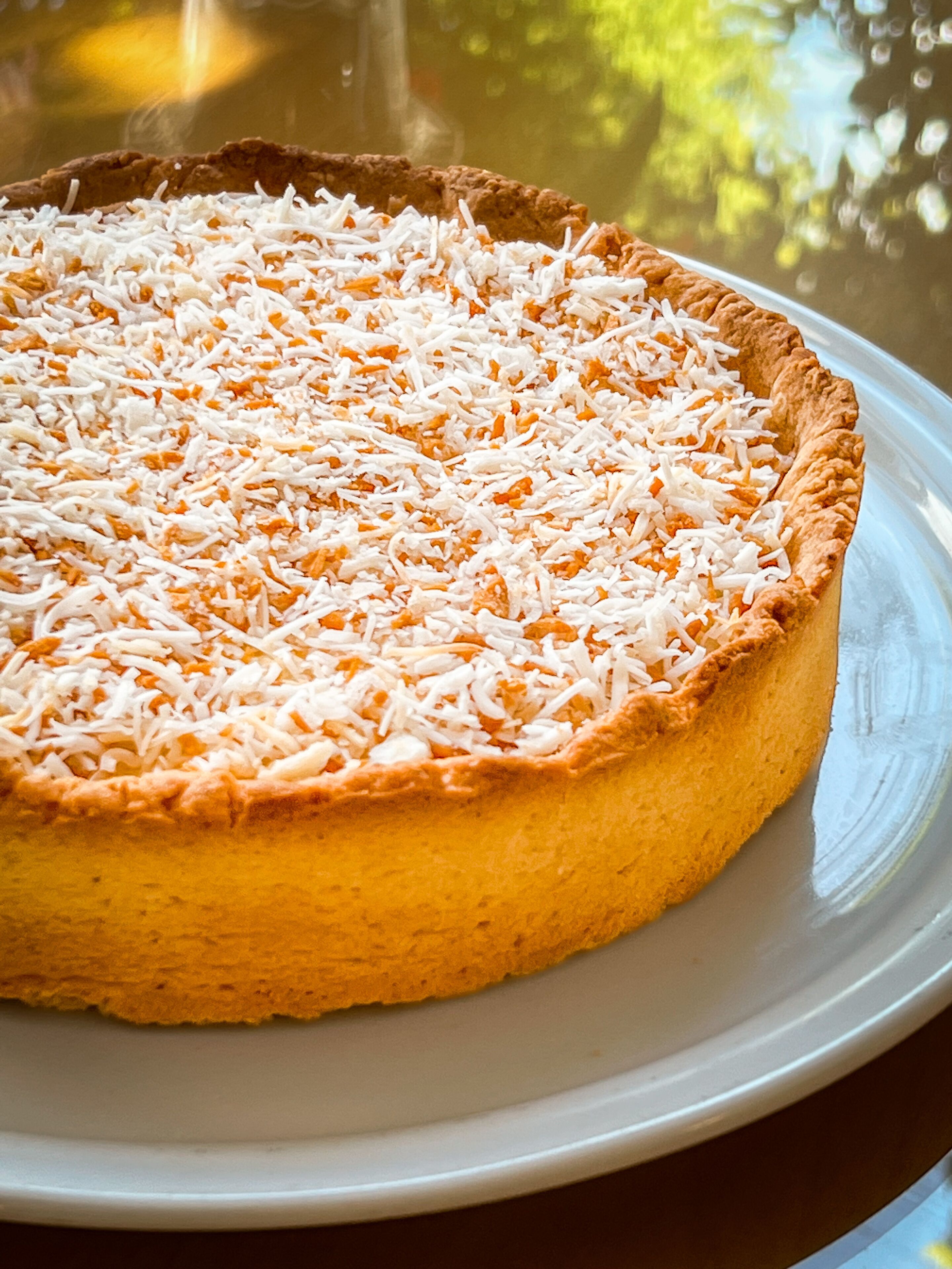 A round cheesecake with a coconut topping on a white plate.