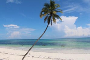 Beach/ocean view - Isla Bonita Zanzibar Beach Resort (Matemwe)