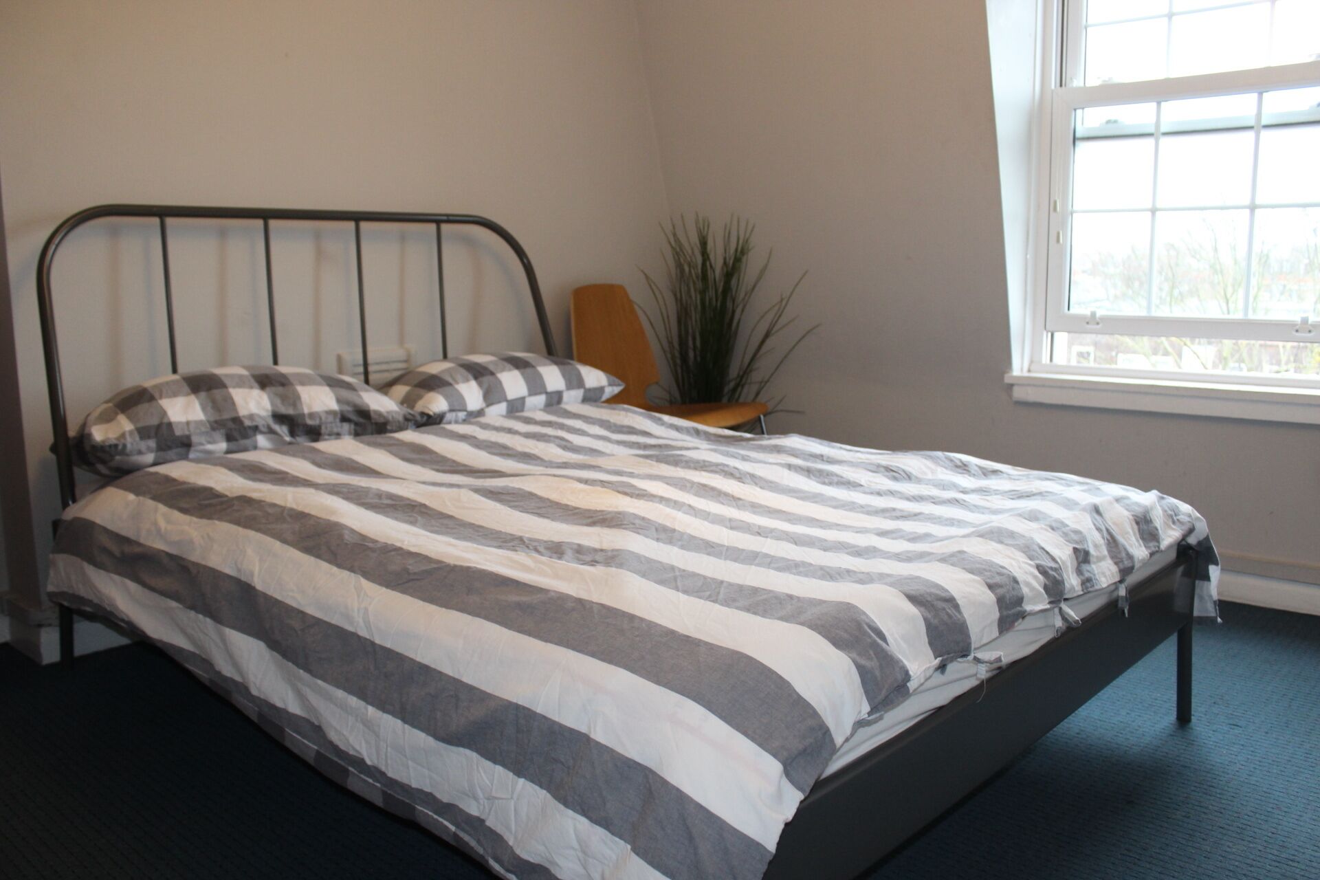 Foto - Prime Backpackers Angel