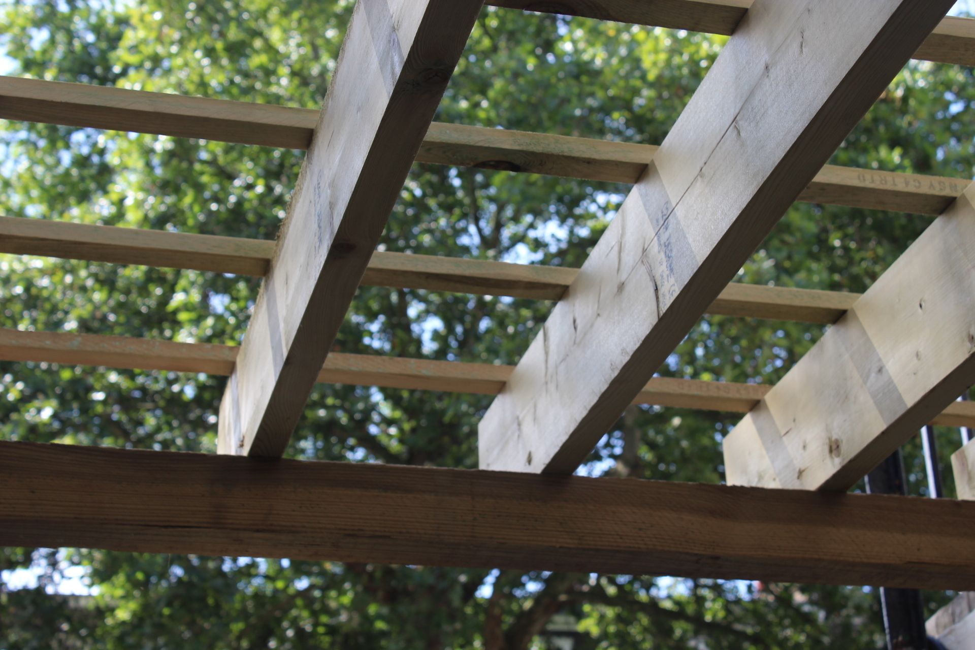 Foto - Prime Backpackers Angel