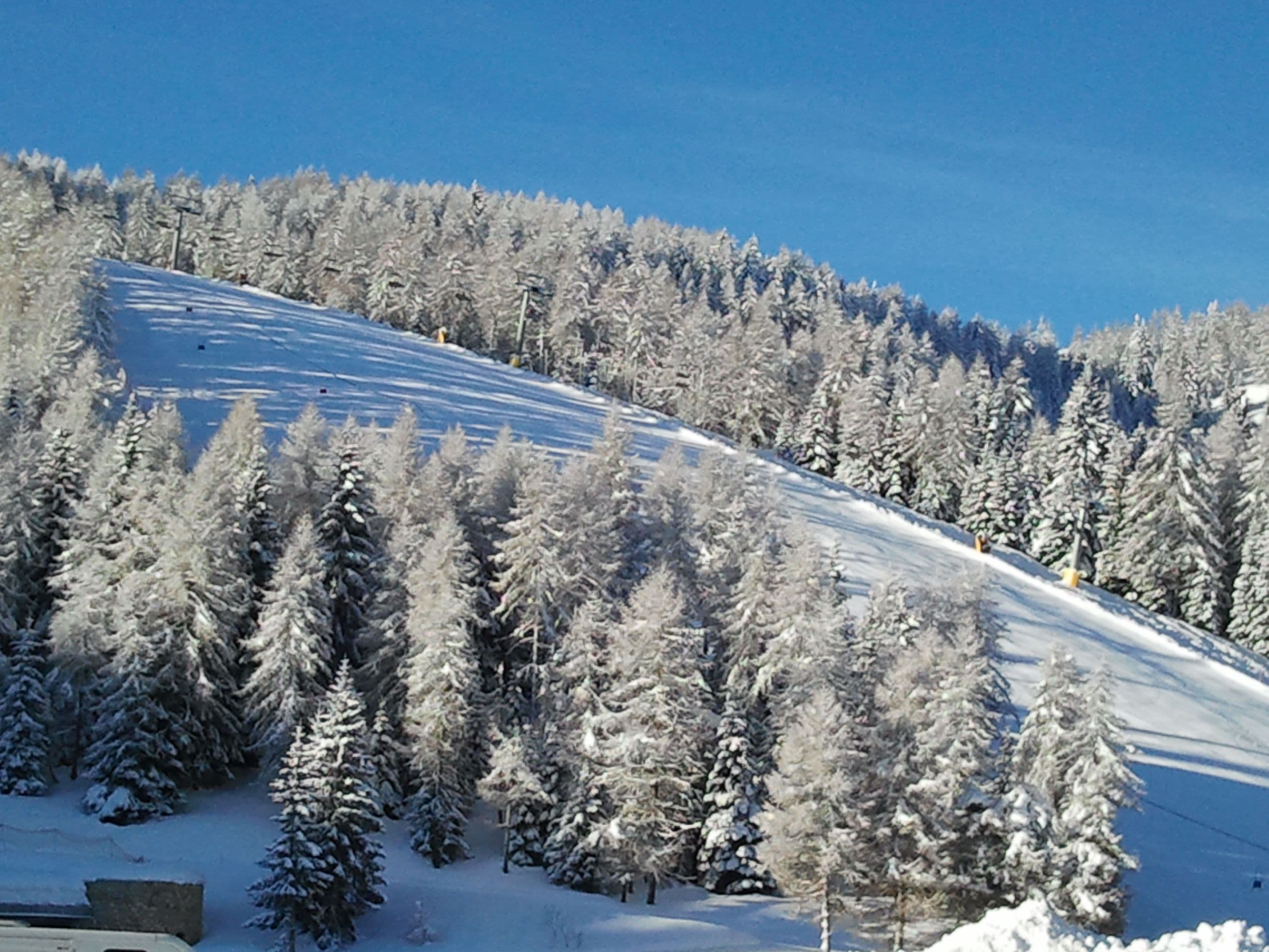 Pendiente nevada con árboles y cielo azul despejado.