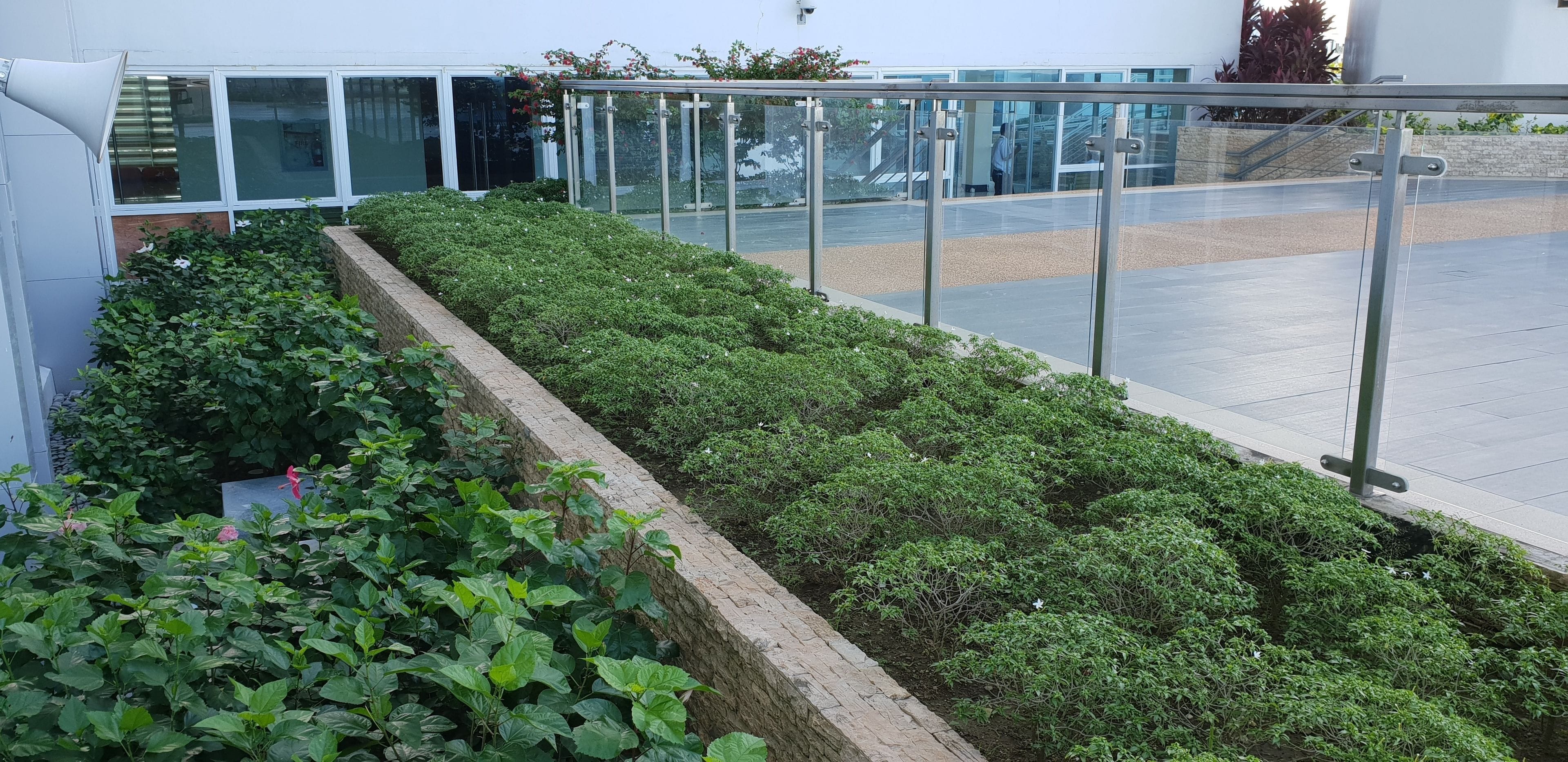 정원 전망