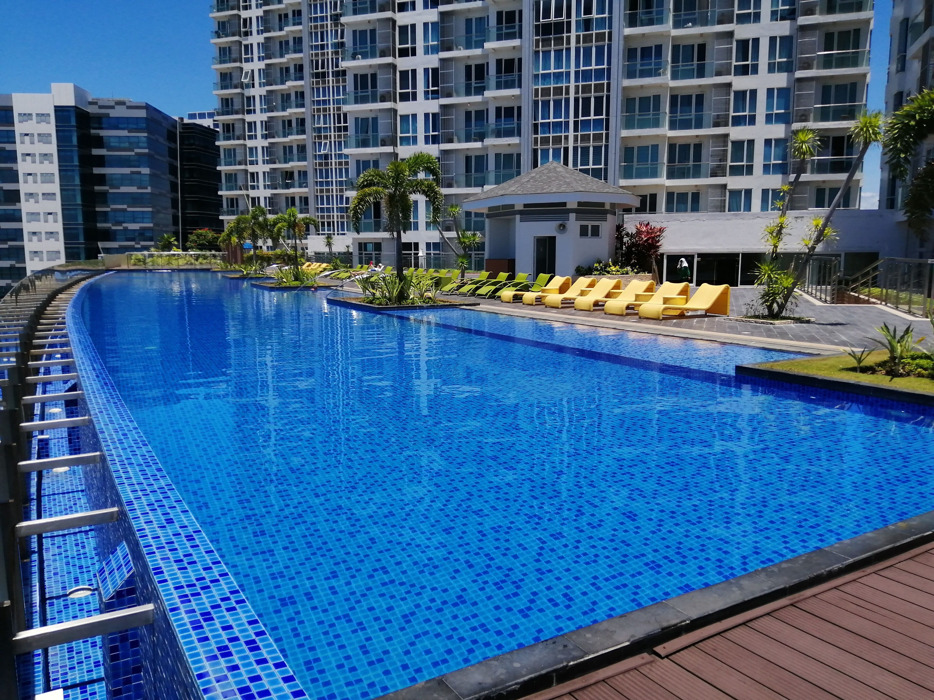 En swimmingpool med blå flisebelagt bund, omgivet af gule liggestole og grøn bevoksning.