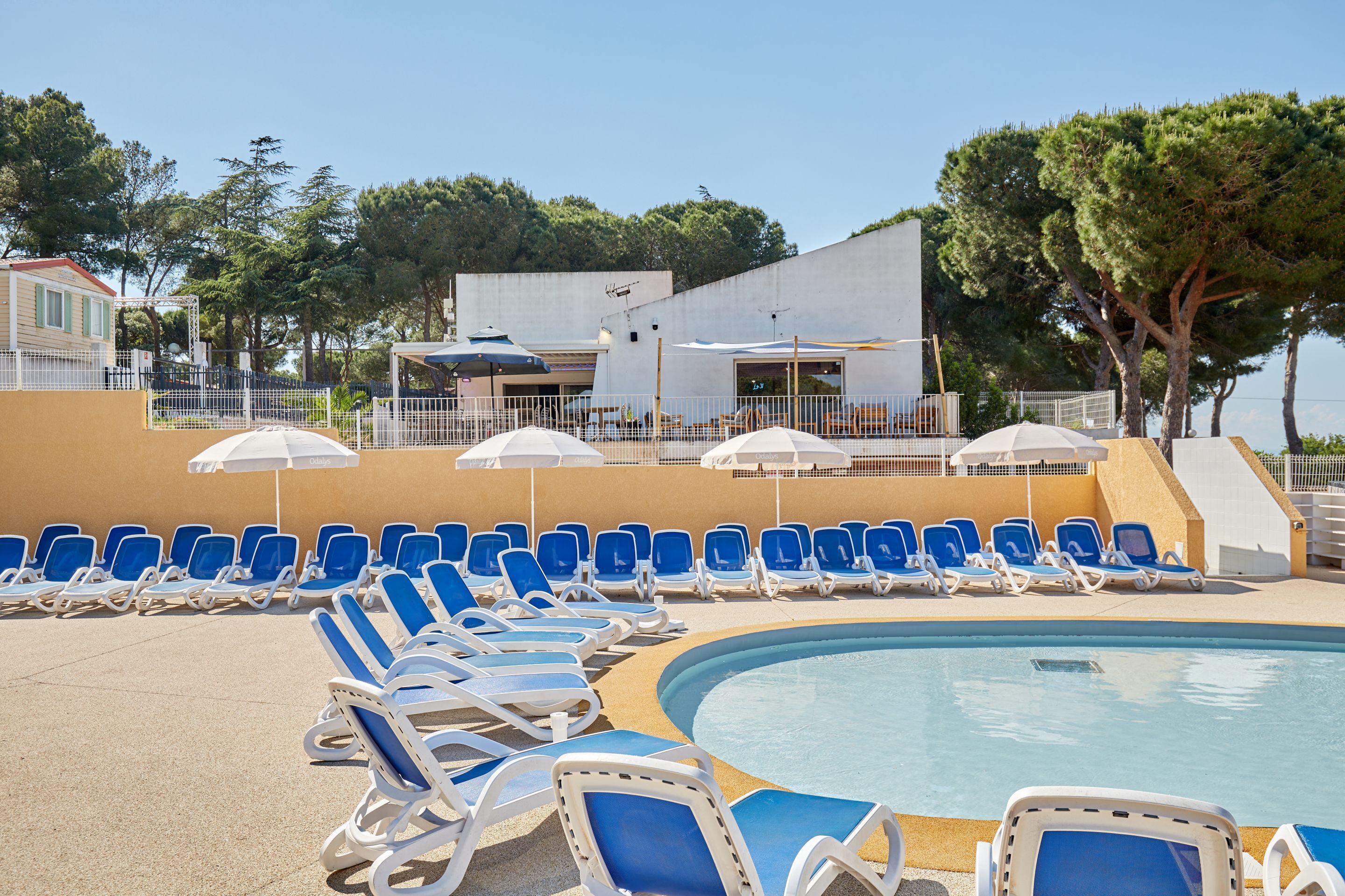 A poolside area with blue lounge chairs and umbrellas, a pool, and a building with a modern design.