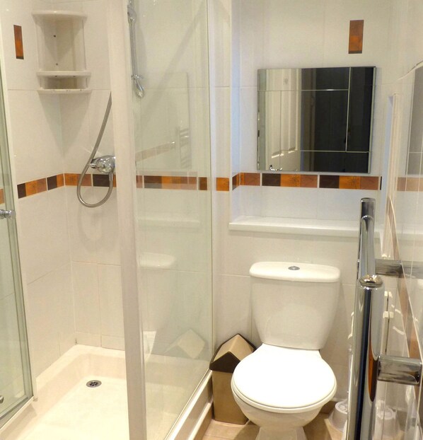 Un baño con ducha acristalada, inodoro y lavabo.
