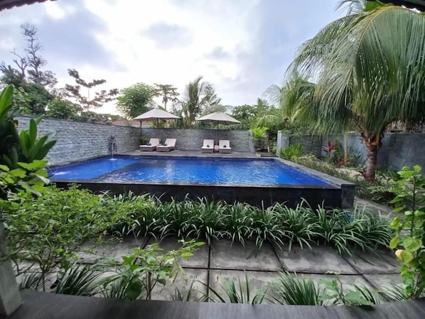 A rectangular swimming pool with a stone wall surrounding it, two lounge chairs, and a palm tree. - Bobo Bungalow (Lembongan Island)