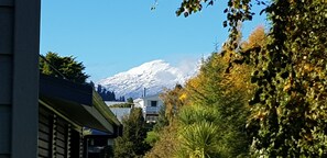 Ein Wohngebiet mit einem schneebedeckten Berg im Hintergrund.