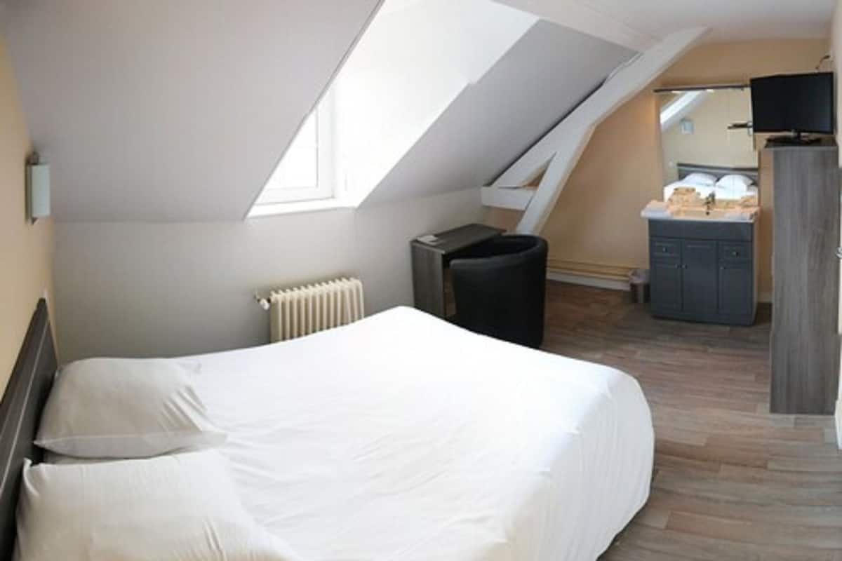 A bedroom with a bed, a radiator, a trash bin, a TV, and a desk with a computer.