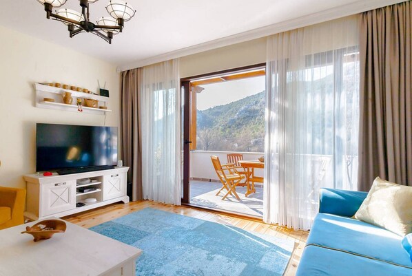 Smart TV, fireplace, DVD player, books
