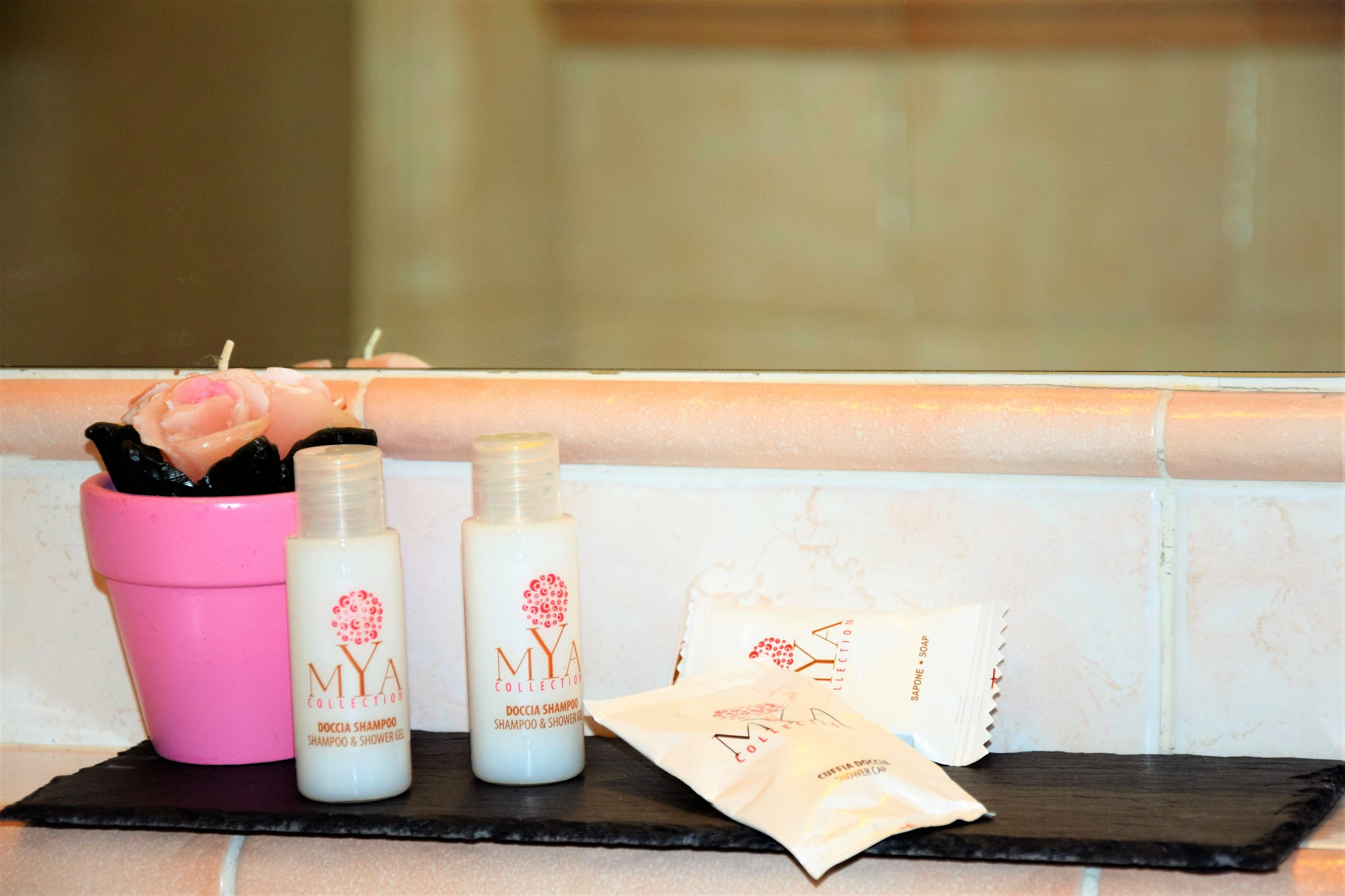 shower, free toiletries, hair dryer, bidet