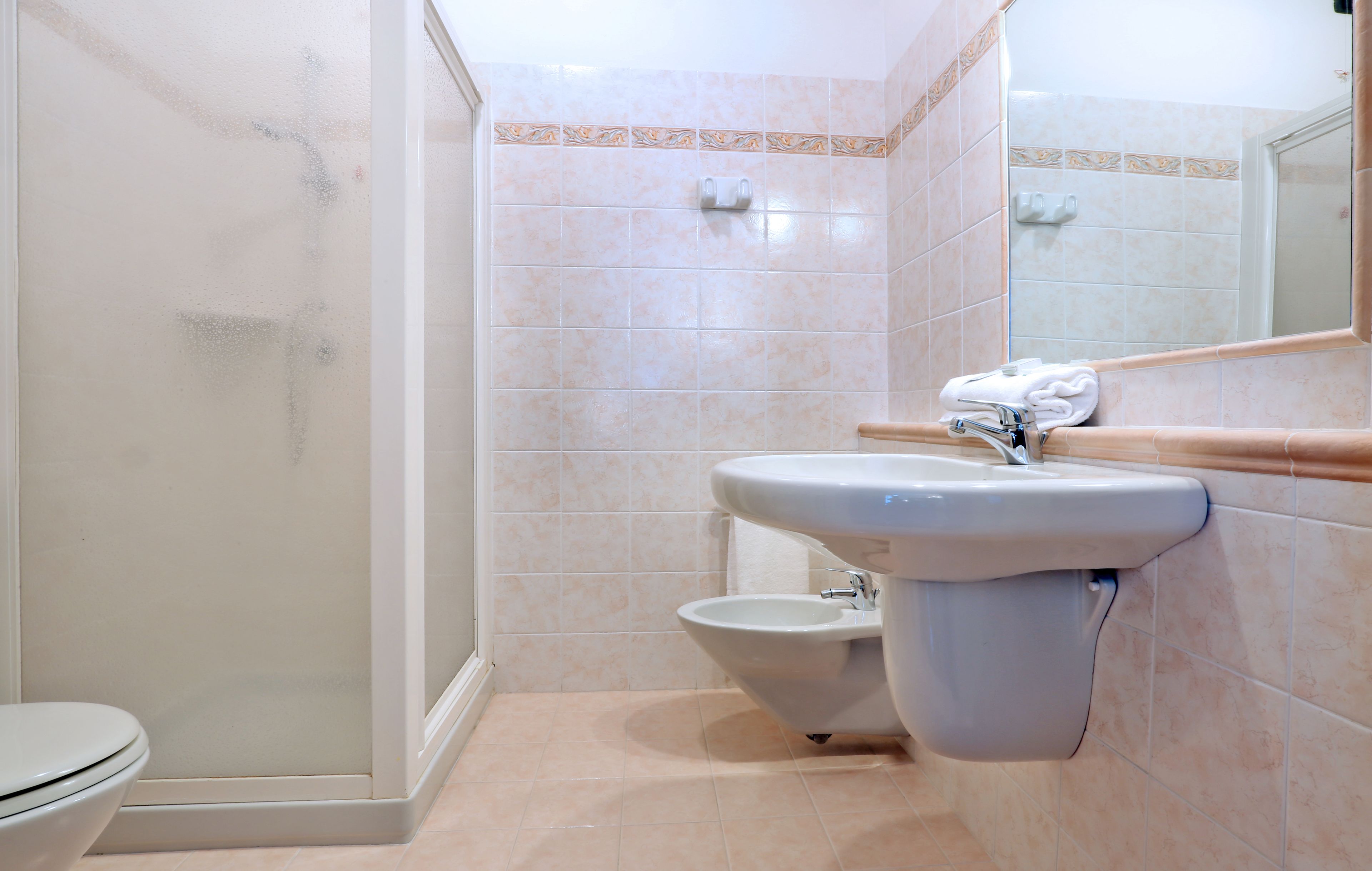 shower, free toiletries, hair dryer, bidet