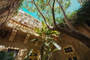 Ein Gebäude mit einer Steinfassade, großen Fenstern und einem Baum davor.