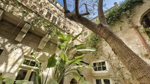 Une cour avec un grand arbre, des plantes en pot et un bâtiment historique aux murs et aux fenêtres en pierre.