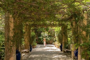 Un sentier de jardin bordé d’une pergola, sur lequel marche une personne, le tout entouré de verdure et de plantes en pot.