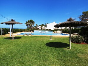Una piscina sotto un cielo azzurro limpido, circondata da prato curato e palme.