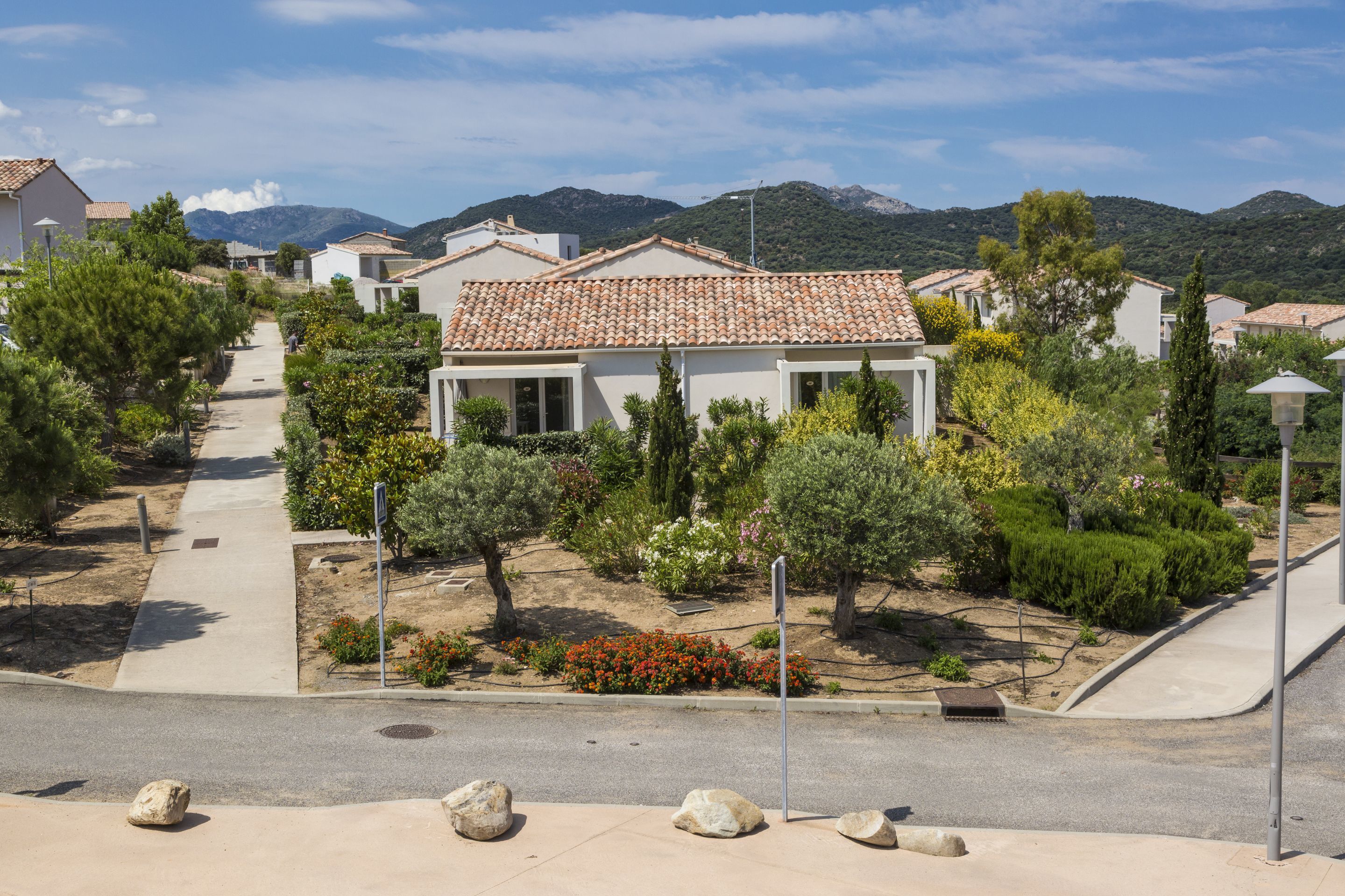 A residential area with houses, a paved road, and a mountain backdrop.