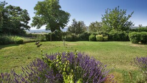 A well-maintained garden with a variety of trees and a lawn. - Résidence Odalys Les Soleils du Luberon (Bonnieux)