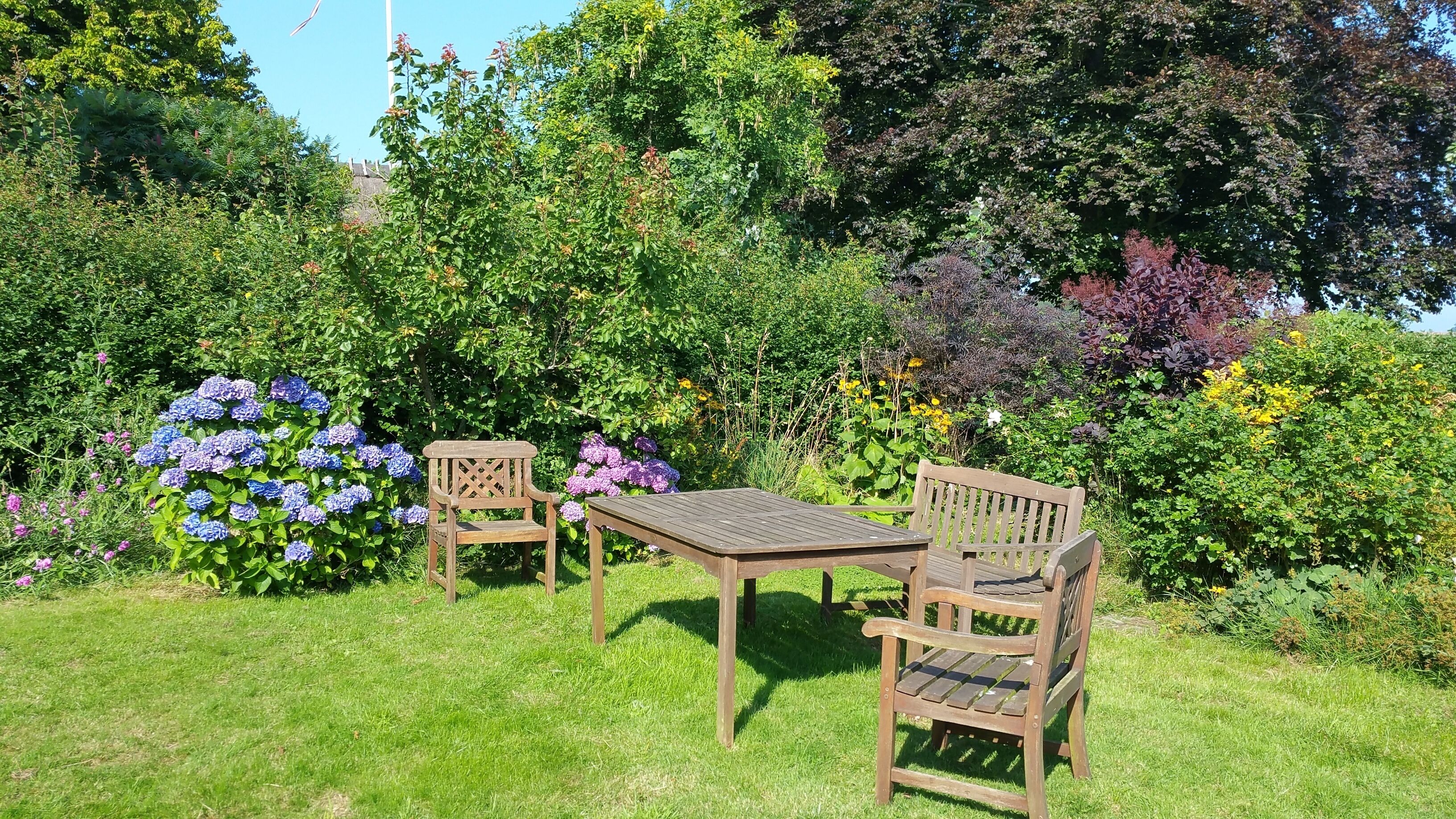 Un jardin avec une table en bois et deux chaises, entouré d’une végétation luxuriante et de plantes en fleurs.