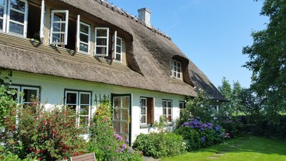 Ferienhof SONDERBYGAARD: cozy dormer apartment for couple or small group. Family