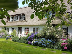 Surrounded by a lush garden, this charming cottage offers a peaceful retreat.