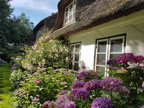 Traditional cottage nestled in a lush garden with a variety of flowering plants.