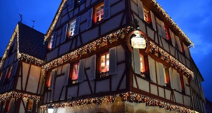 charmant duplex typiquement alsacien, plein centre historique de Colmar au calme