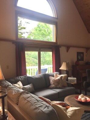 Smart TV, fireplace, books, music library