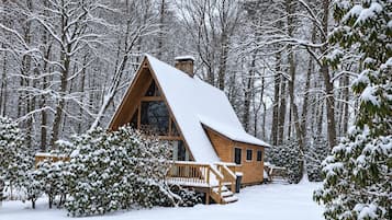Una cabaña de madera con techo empinado, rodeada de árboles cubiertos de nieve y un paisaje nevado.