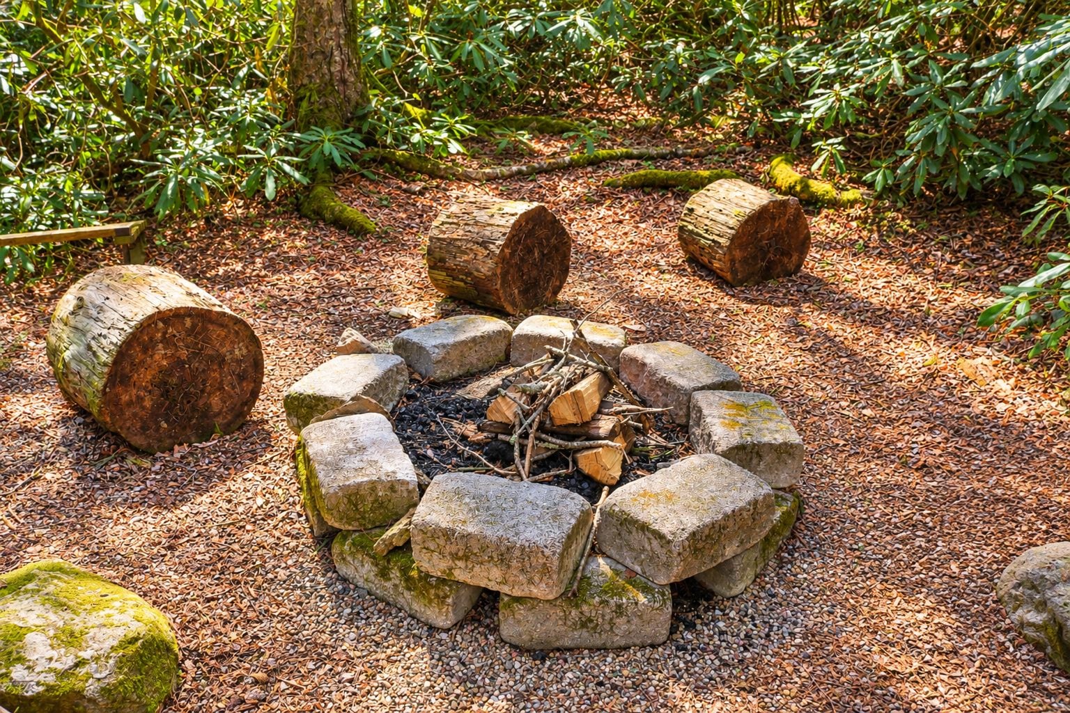 A fire pit surrounded by rocks and logs in a forested area.