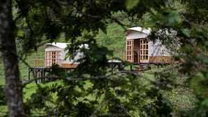 Exterior detail - Finca Los Arboles (Salento)