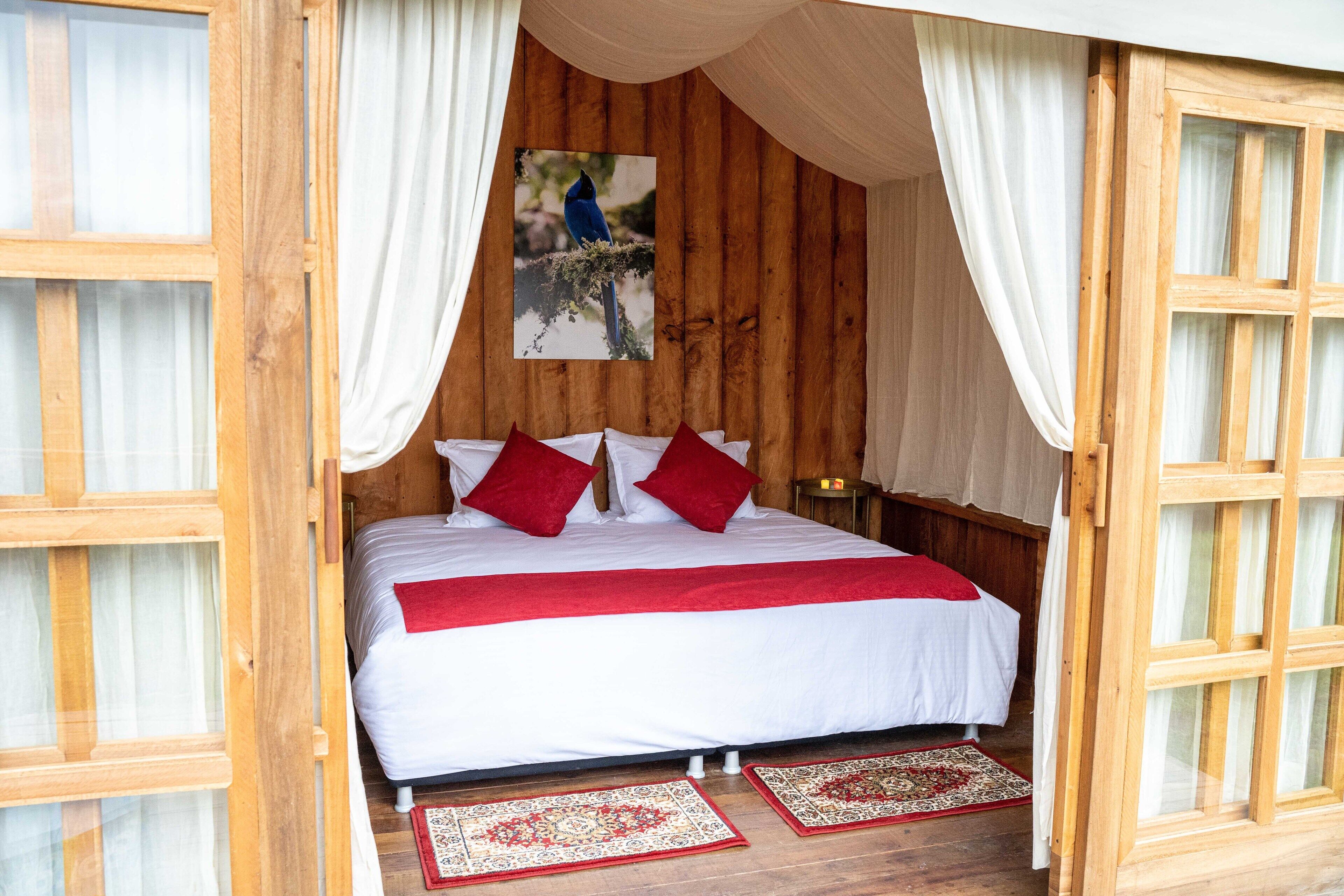 Ecolodge Luxury Glamping room with hot water | Premium bedding, down duvets, individually furnished, bed sheets