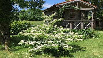 A rustic wooden cabin with a porch, surrounded by lush greenery and flowering bushes.