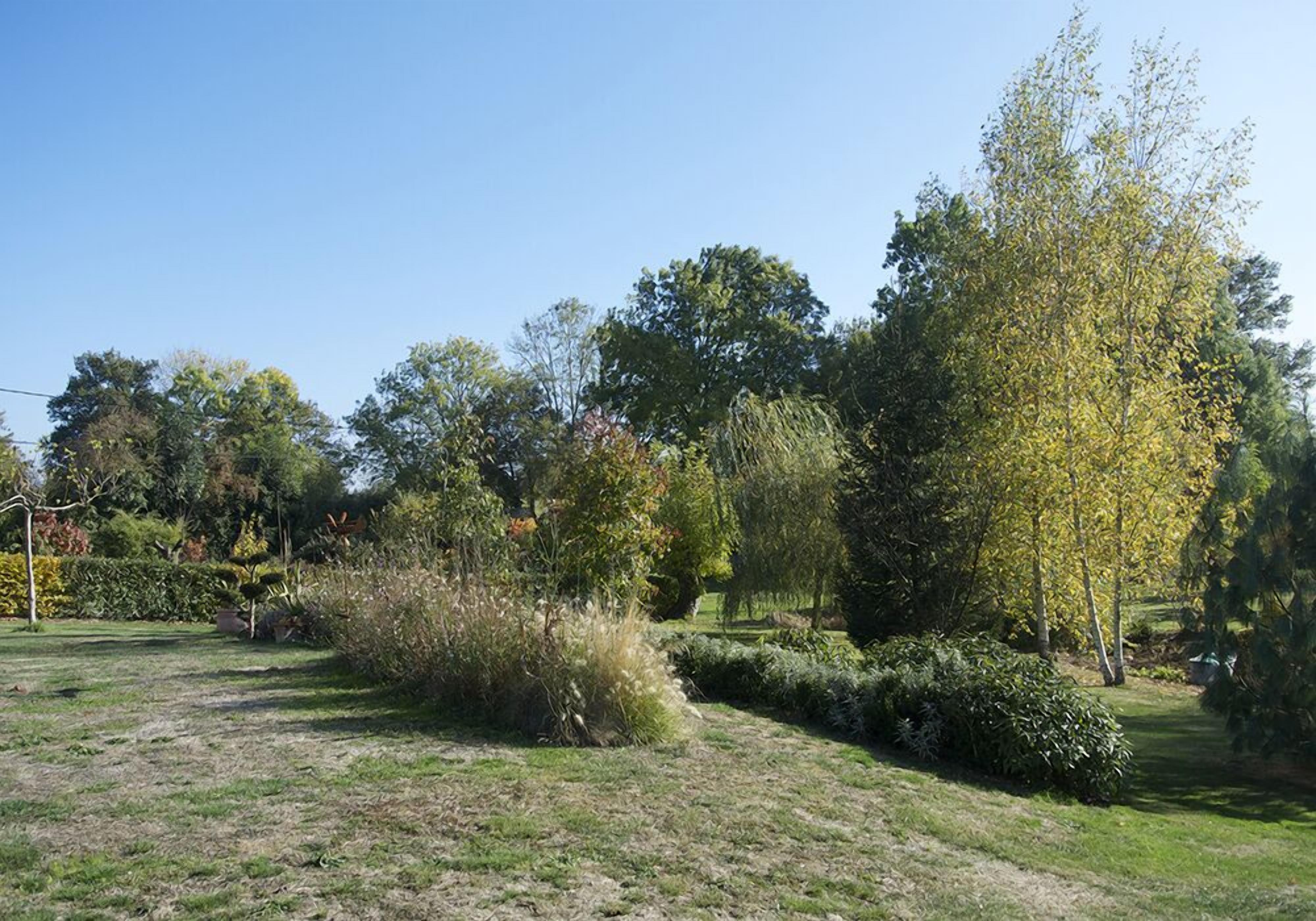 Un jardin bien entretenu, avec différentes espèces d’arbres et d’arbustes, un ciel dégagé et un sentier qui traverse la verdure.