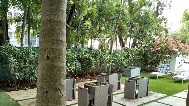 Garden - Studio Apartment Biscayne Blvd Miami (Miami)