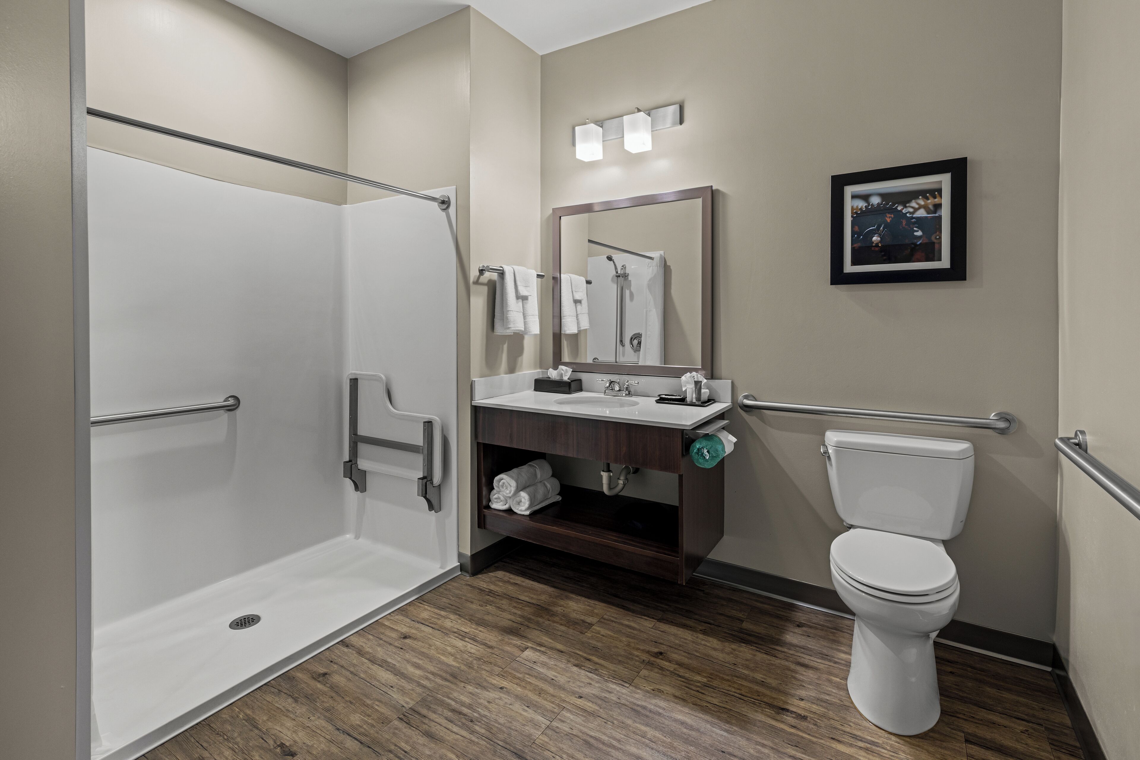 A modern bathroom with a walk-in shower, a toilet, a sink with a mirror, and a framed picture on the wall.