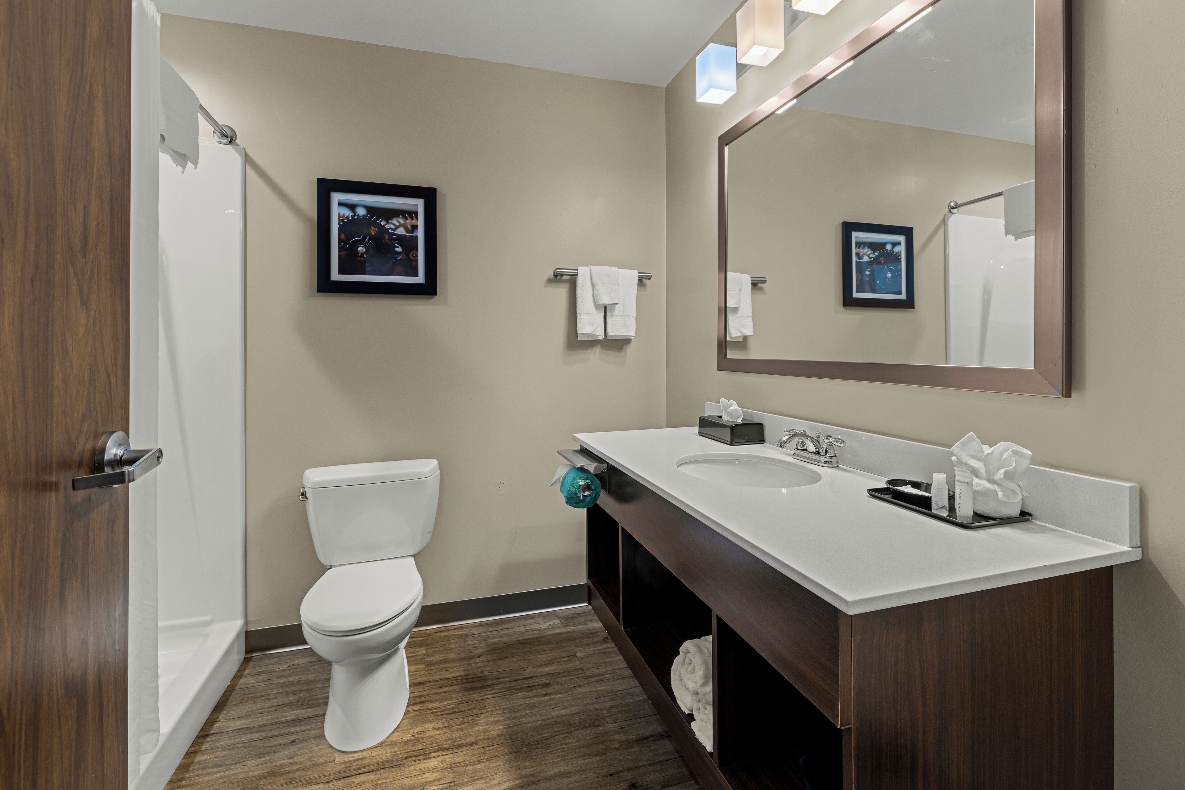 shower, free toiletries, hair dryer, towels