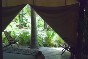 Deluxe Tent | Courtyard view