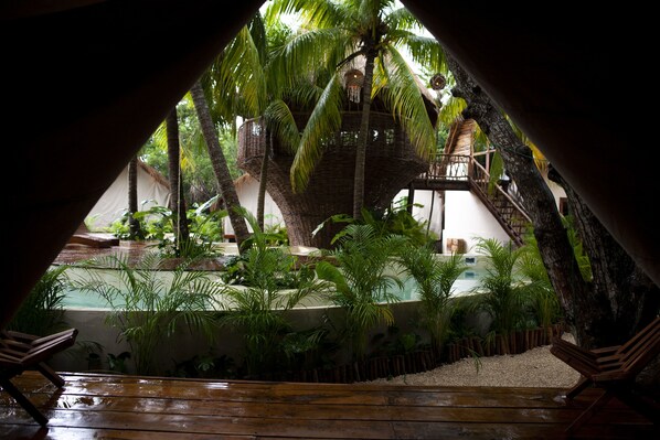 Deluxe Tent | View from room - Serena Tulum - Adults Only (Tulum)