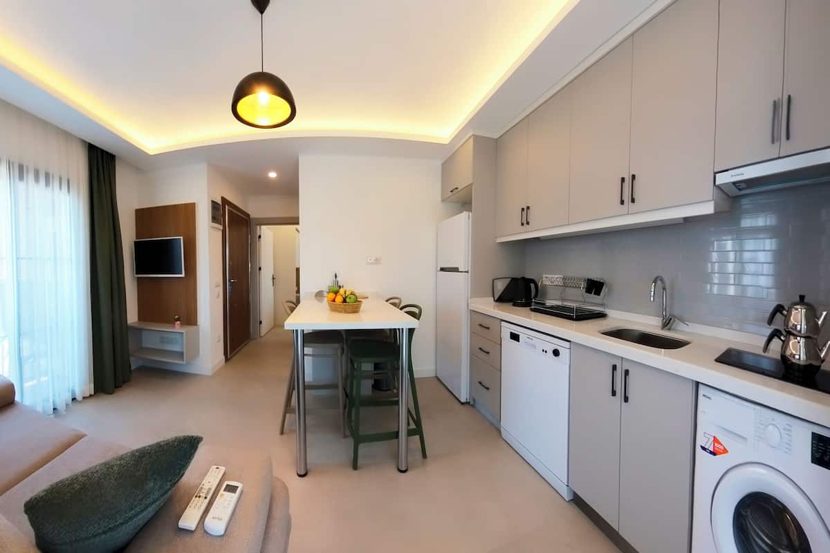 A modern apartment with a living room, dining area, and kitchen. It includes a sofa, a dining table with chairs, a TV mounted on the wall, a washing machine, and a kitchen with a sink and stove.