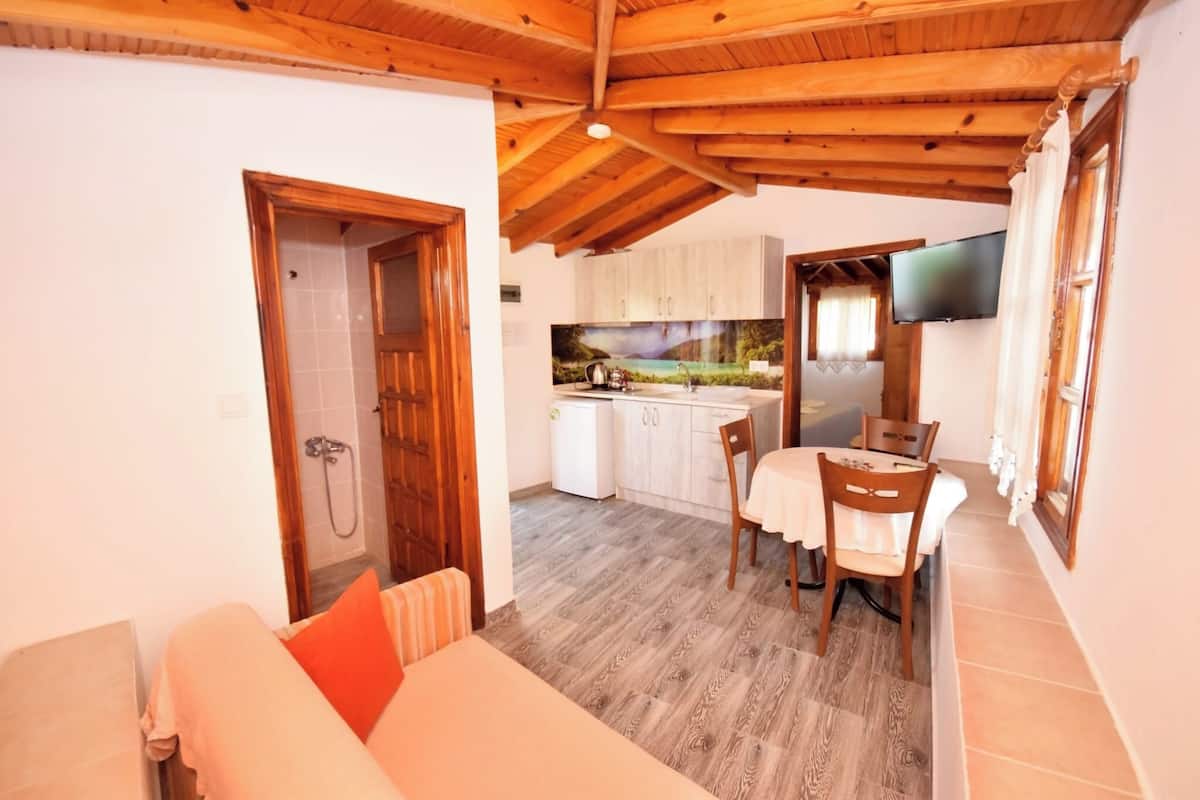 A cozy room with a wooden ceiling, a sofa with a cushion, a dining table with chairs, a kitchen area with cabinets and a TV, and a shower area.