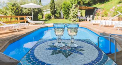 Beautiful house with swimming pool surrounded by greenery, modern, luxury finishes