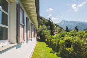 Property grounds - Beautiful house with swimming pool surrounded by greenery, modern, luxury finishes (Camaiore)