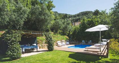 Beautiful house with swimming pool surrounded by greenery, modern, luxury finishes