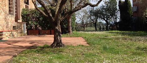 Áreas de la propiedad