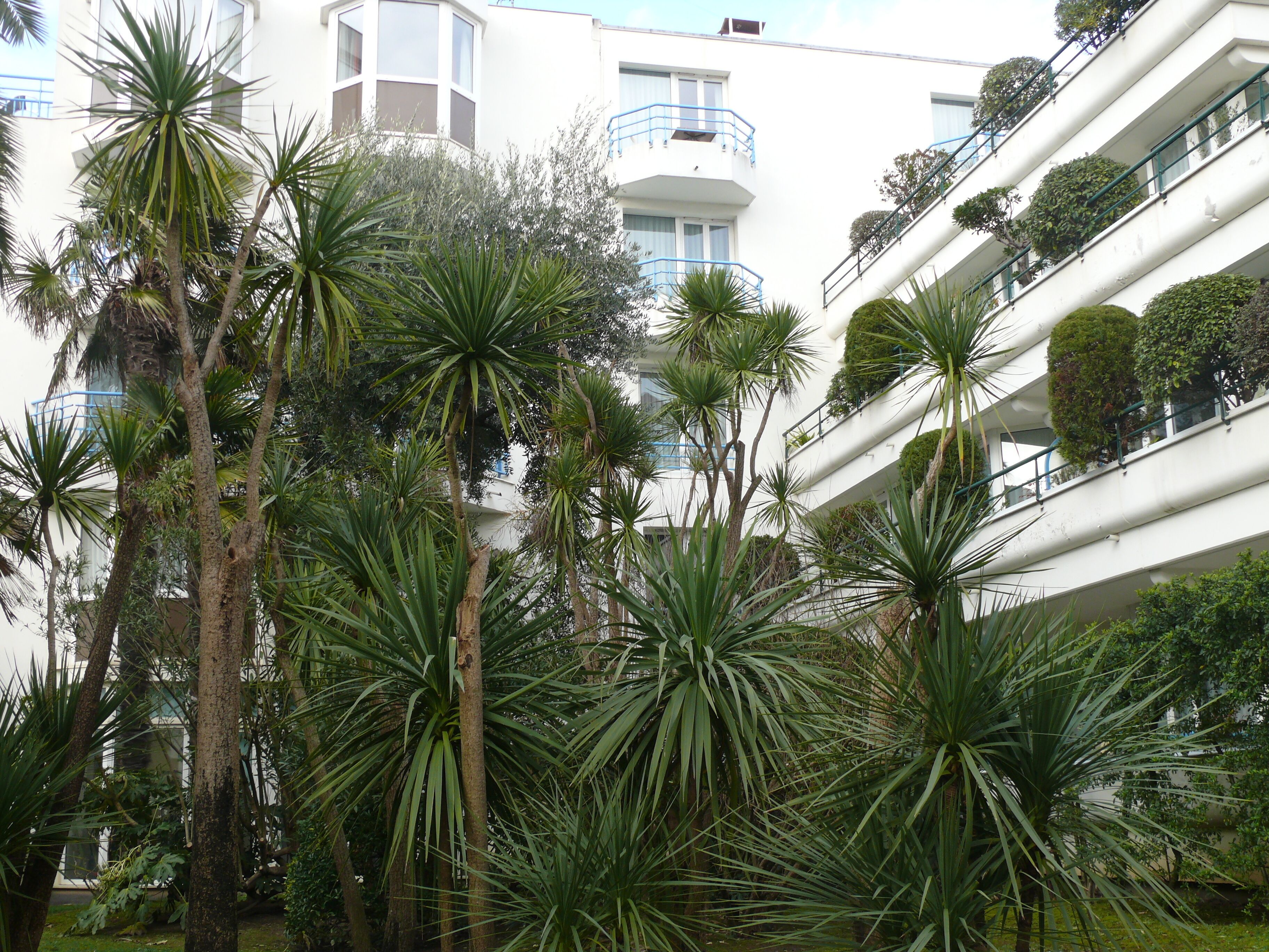 Un edificio de varios pisos con balcones, rodeado de abundante vegetación, incluyendo palmeras y otras plantas tropicales.