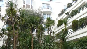 Un edificio de varios pisos con balcones, rodeado de abundante vegetación, incluyendo palmeras y otras plantas tropicales.