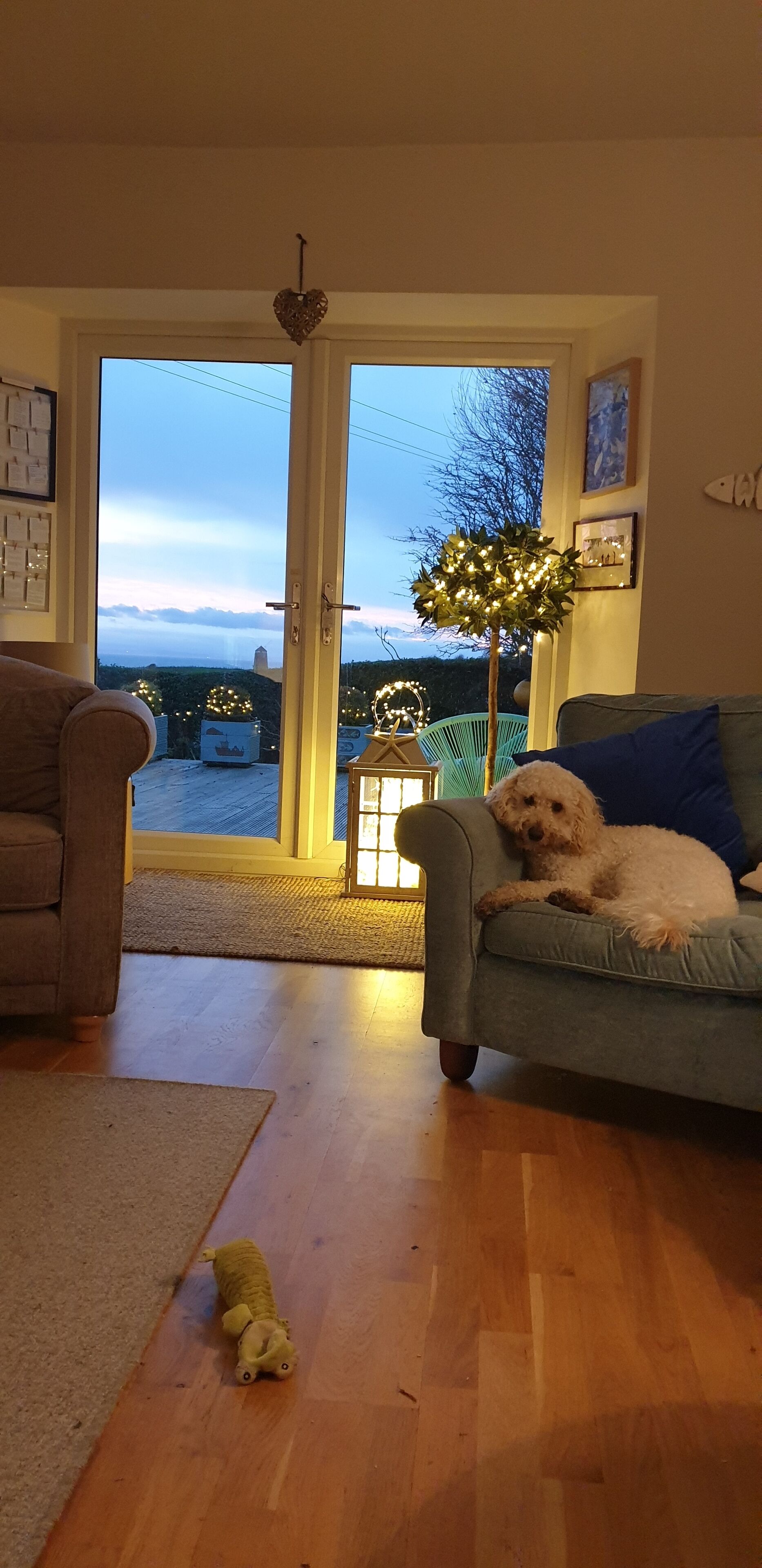 Ein Wohnzimmer mit Hund auf einer Couch, einem kleinen, beleuchteten Baum und Blick durch eine Glastür.