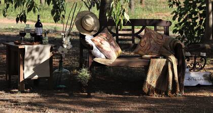 Rustic House in Finca of 55000 m2 with gardens and pool. 10 minutes from Palma