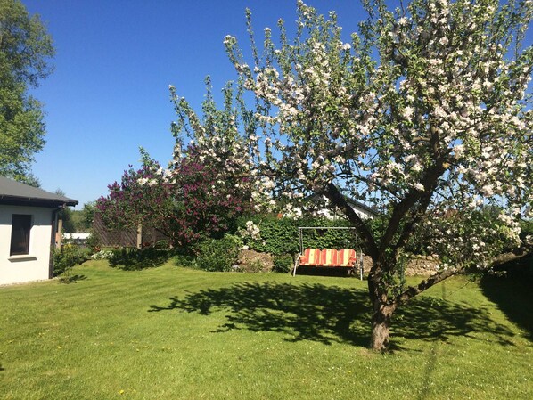 Property grounds - Cottage on the lake on a large plot, fireplace - cottage on the lake (Krakow am See)